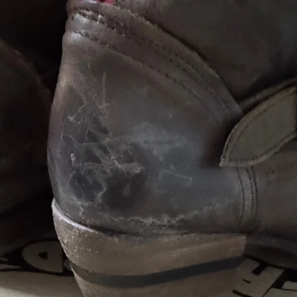 Freebird by Steven Chocolate Brown Moto Boots - Picture 5 of 10